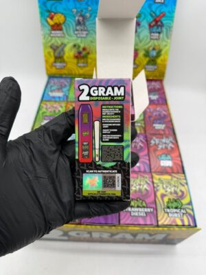 Stoner Stix 2G Disposable — Premium 2-Gram Vape
