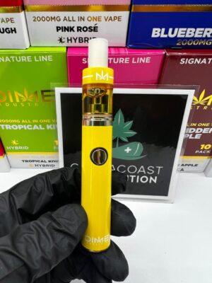 DIME 2G Disposable