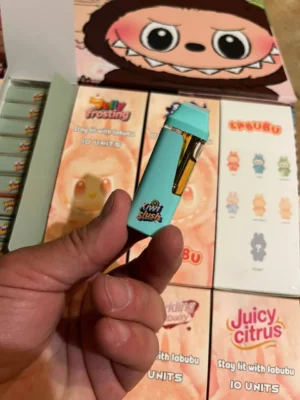 Labubu Vape 2g Disposable