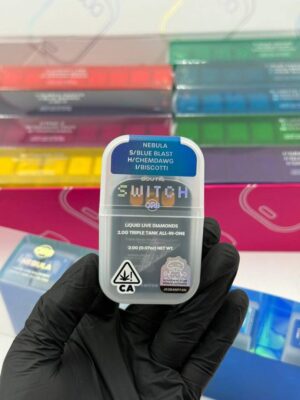 Boutiq Switch ORB V5 Disposable 2G