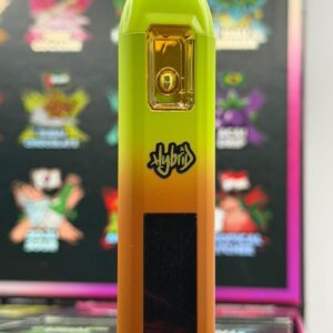 Stoner Stix World Tour Disposable 2G With Pre Roll