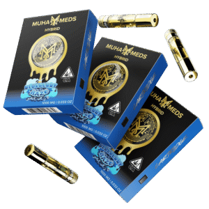 BLUEBERRY HAZE | HYBRID 1000MG THC