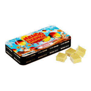 MANGO CHAMOY INFUSED GUMMIES