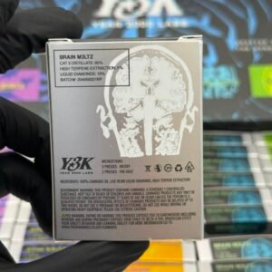 Y3K Disposable 2G