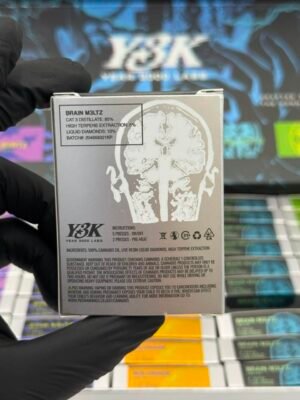 Y3K Disposable 2G