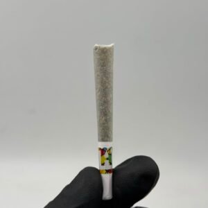 Holy Water Pre Rolls 5PK