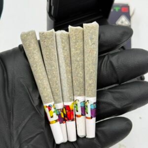 Holy Water Pre Rolls 5PK