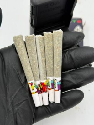Holy Water Pre Rolls 5PK