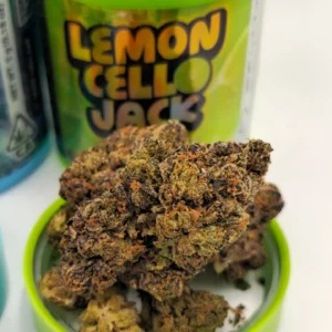 LEMONCELLO JACK (SATIVA) | 5G FLOWER 4 1000056032