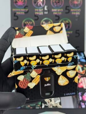 Puffin 5 Year Anniversary Disposable 2G