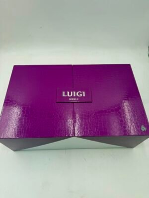 Luigi V9 Disposable 2G - Series 9