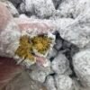 photo 2026 01 24 04 41 47
