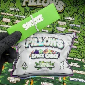snooze pillows st.patricks edition 5 photo 2026 04 16 16 47 28