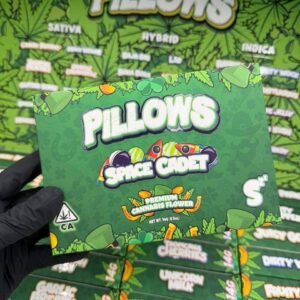 snooze pillows st.patricks edition 6 photo 2026 04 16 16 47 31
