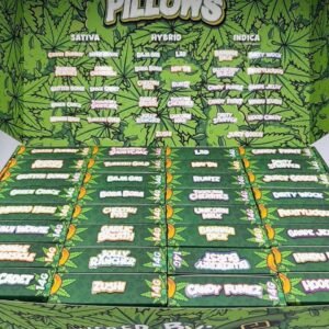 snooze pillows st.patricks edition 7 photo 2026 04 16 16 47 33