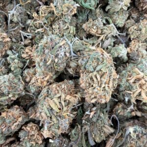 Green Crack Indoor