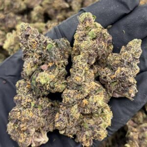 FF x Grape Pop Rocks Indoor Flowers