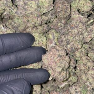 Blue Face Runtz Strain