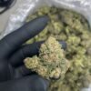 Blue Cherriez ML Strain