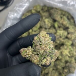 Blue Cherriez ML Strain