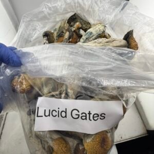 Lucid Gates Mushroom