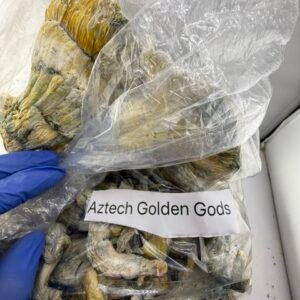 aztec golden gods mushroom
