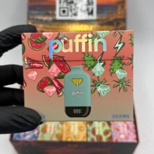 Puffin Summer Edition Disposable 2G